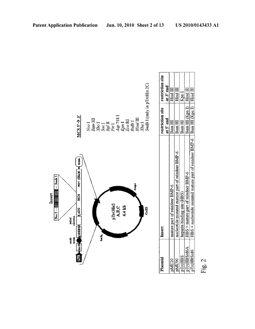 Bone morphogenetic proteins containing a heparin binding site and osteogenic devices and pharmaceutical products containing thereof - diagram, schematic, and image 03