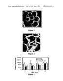 Hybrid Biomimetic Particles, Methods of Making Same and Uses Therefor diagram and image