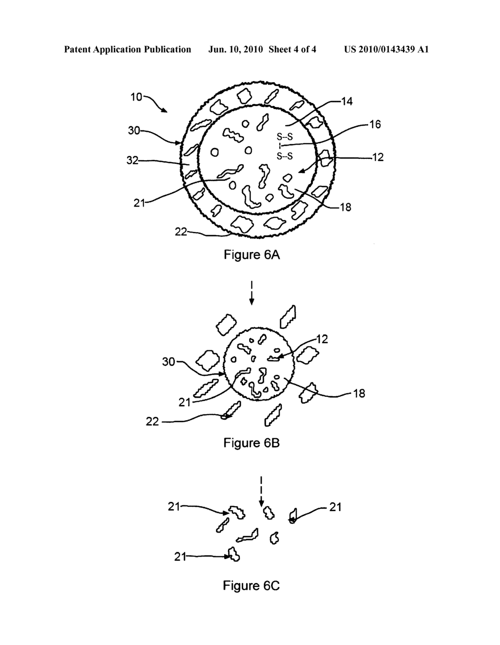 Hybrid Biomimetic Particles, Methods of Making Same and Uses Therefor - diagram, schematic, and image 05