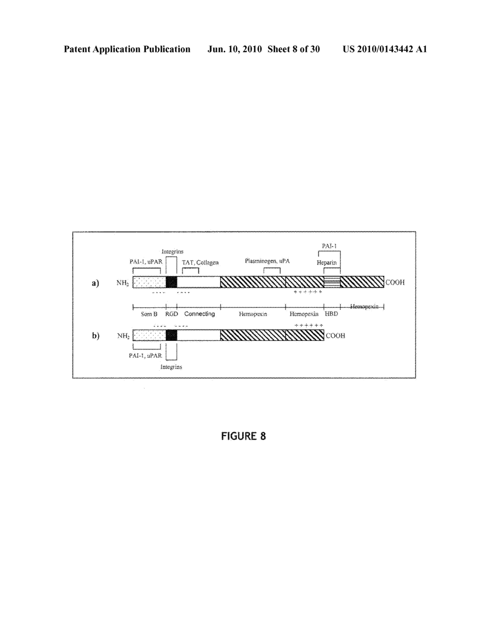 GROWTH FACTOR COMPLEXES AND MODULATION OF CELL MIGRATION AND GROWTH - diagram, schematic, and image 09