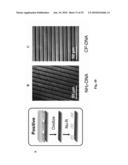 REDOX ACTIVATED PATTERNING diagram and image