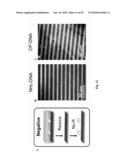 REDOX ACTIVATED PATTERNING diagram and image