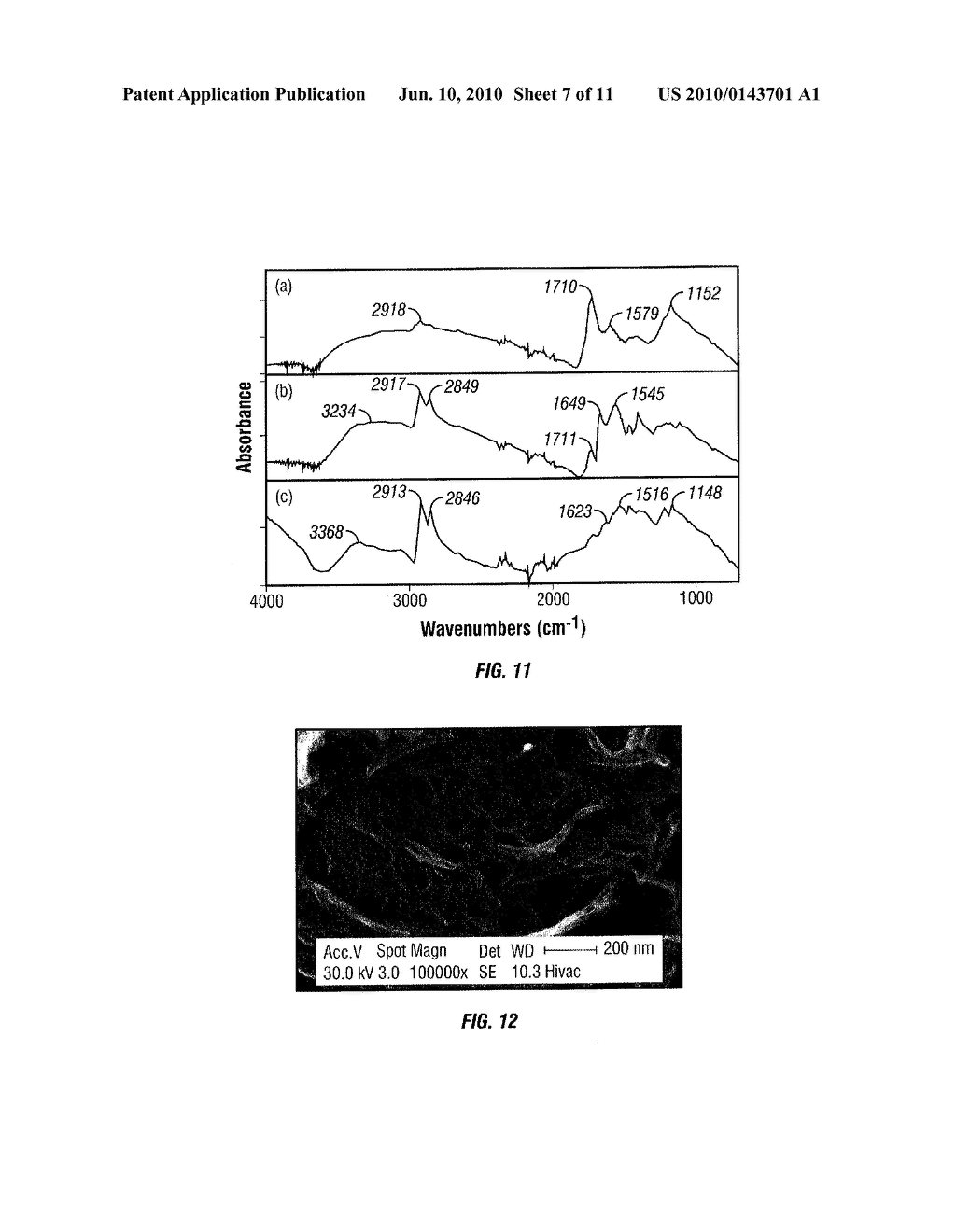 Fiber-Reinforced Polymer Composites Containing Functionalized Carbon Nanotubes - diagram, schematic, and image 08