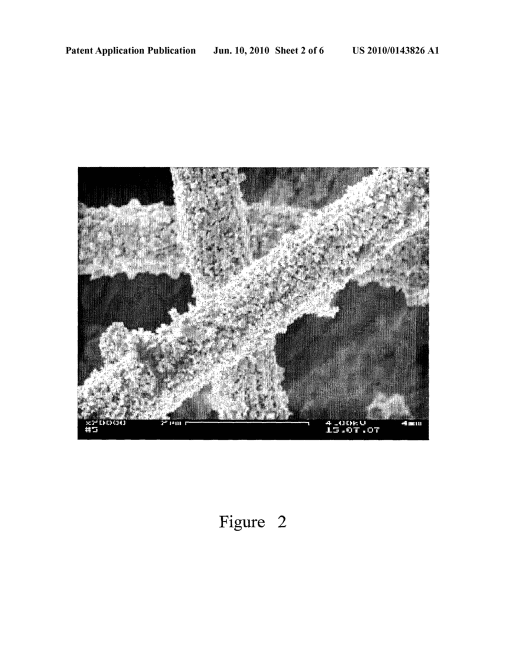 FIBROUS ANODE WITH HIGH SURFACE-TO-VOLUME RATIO FOR FUEL CELLS AND A FUEL CELL WITH SUCH ANODE - diagram, schematic, and image 03