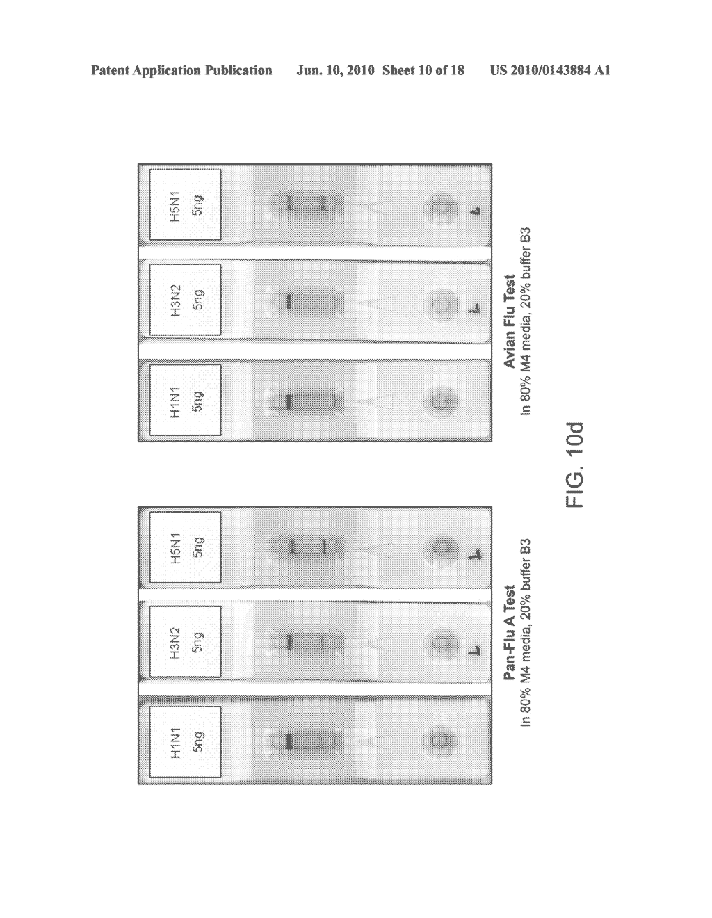 DETECTION OF INFLUENZA VIRUS - diagram, schematic, and image 11