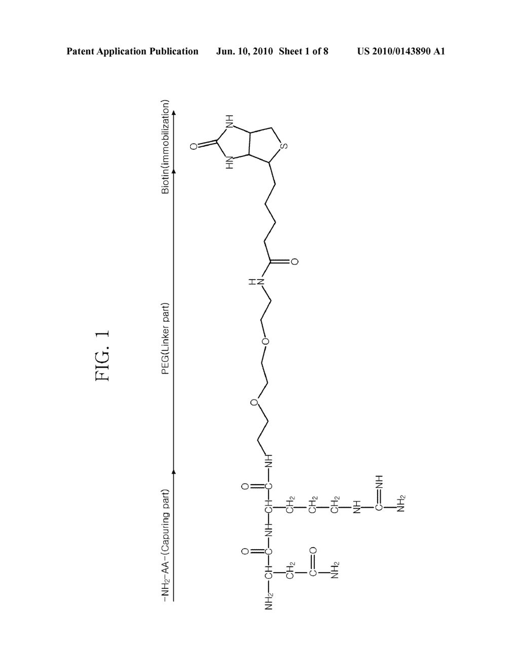 PEPTIDE COMPOUNDS FOR CAPTURING OR INHIBITING AVIAN INFLUENZA VIRUS AND APPLICATION THEREOF - diagram, schematic, and image 02