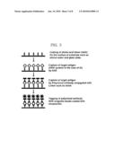 PEPTIDE COMPOUNDS FOR CAPTURING OR INHIBITING AVIAN INFLUENZA VIRUS AND APPLICATION THEREOF diagram and image