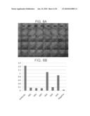 PEPTIDE COMPOUNDS FOR CAPTURING OR INHIBITING AVIAN INFLUENZA VIRUS AND APPLICATION THEREOF diagram and image