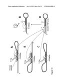 USE OF PRODUCTS OF PCR AMPLIFICATION CARRYING ELEMENTS OF SECONDARY STRUCTURE TO IMPROVE PCR-BASED NUCLEIC ACID DETECTION diagram and image