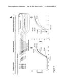 USE OF PRODUCTS OF PCR AMPLIFICATION CARRYING ELEMENTS OF SECONDARY STRUCTURE TO IMPROVE PCR-BASED NUCLEIC ACID DETECTION diagram and image