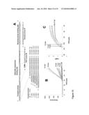 USE OF PRODUCTS OF PCR AMPLIFICATION CARRYING ELEMENTS OF SECONDARY STRUCTURE TO IMPROVE PCR-BASED NUCLEIC ACID DETECTION diagram and image