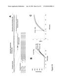 USE OF PRODUCTS OF PCR AMPLIFICATION CARRYING ELEMENTS OF SECONDARY STRUCTURE TO IMPROVE PCR-BASED NUCLEIC ACID DETECTION diagram and image