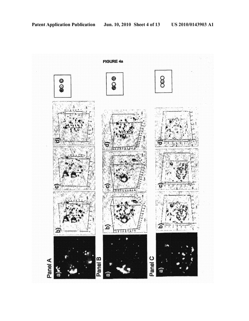 Methods of Detecting and Monitoring Cancer Using 3D Analysis of Centromeres - diagram, schematic, and image 05