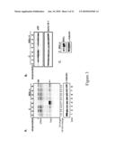 DNA-DAMAGE-INDUCED PROTEOLYSIS diagram and image