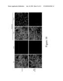 DNA-DAMAGE-INDUCED PROTEOLYSIS diagram and image