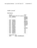 REAGENTS AND METHODS FOR USE IN CANCER DIAGNOSIS, CLASSIFICATION AND THERAPY diagram and image