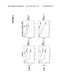 REAGENTS AND METHODS FOR USE IN CANCER DIAGNOSIS, CLASSIFICATION AND THERAPY diagram and image