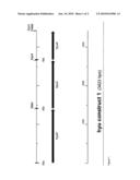 WHOLE-CELL CATALYTIC SYSTEM COMPRISING A HYDANTOINASE, A RACEMASE AND A CARBAMOYLASE diagram and image