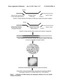 R-HNL RANDOM VARIANTS AND THEIR USE FOR PREPARING OPTICALLY PURE, STERICALLY HINDERED CYANOHYDRINS diagram and image