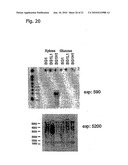 THERMOANAEROBACTER MATHRANII STRAIN BG1 diagram and image