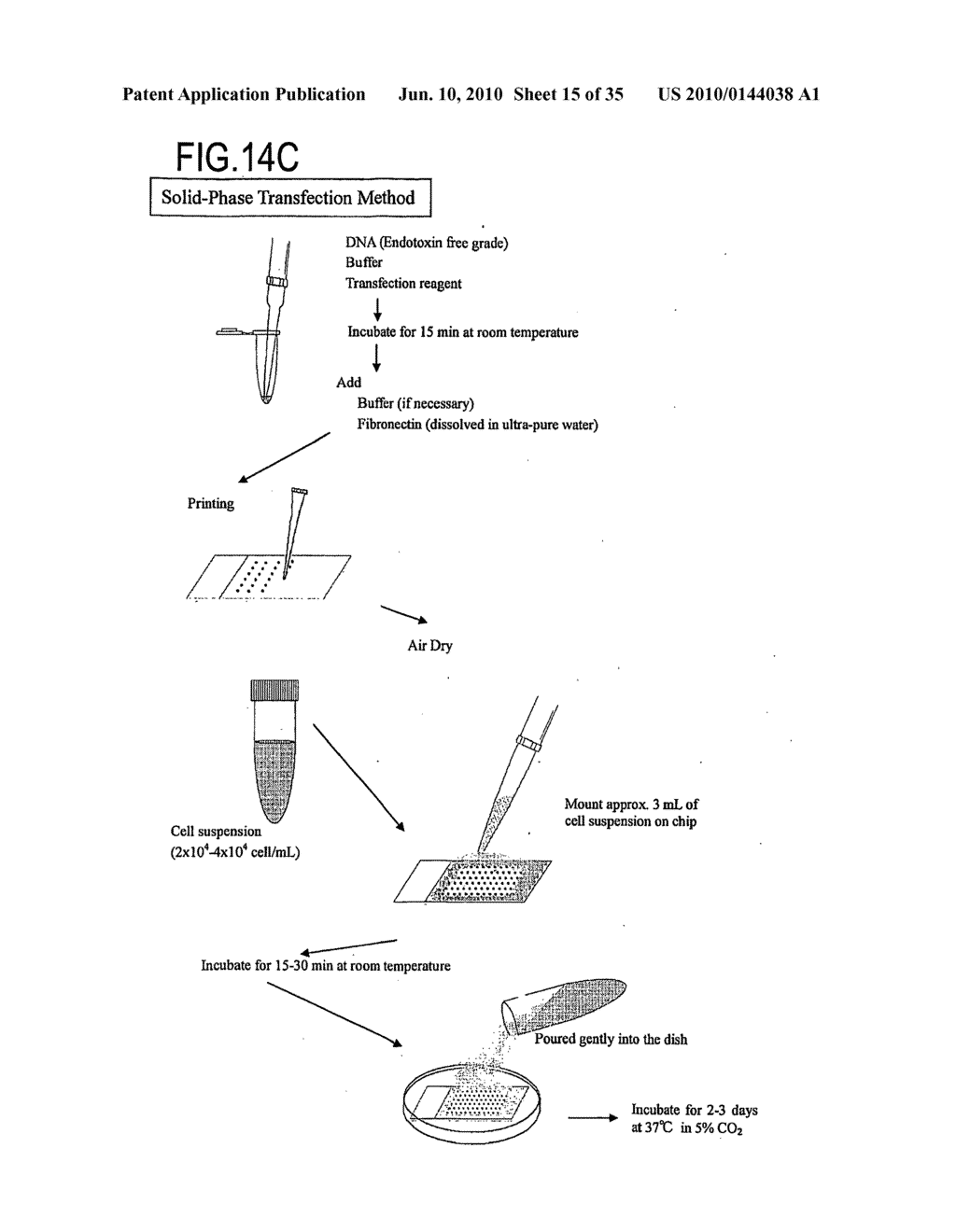 Composition And Method For Increasing Efficiency Of Introduction Of Target Substance Into Cell - diagram, schematic, and image 16