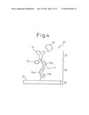 Protein detecting device diagram and image