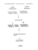 Qualitative Differential Screening diagram and image