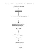 Qualitative Differential Screening diagram and image