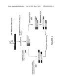 Qualitative Differential Screening diagram and image