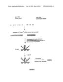 Qualitative Differential Screening diagram and image