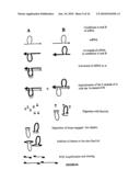 Qualitative Differential Screening diagram and image