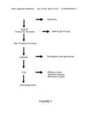 Qualitative Differential Screening diagram and image