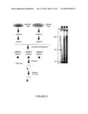 Qualitative Differential Screening diagram and image