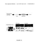 Qualitative Differential Screening diagram and image