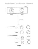 Qualitative Differential Screening diagram and image