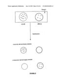 Qualitative Differential Screening diagram and image