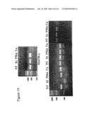 Qualitative Differential Screening diagram and image