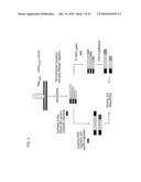 QUALITATIVE DIFFERENTIAL SCREENING diagram and image