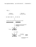 QUALITATIVE DIFFERENTIAL SCREENING diagram and image