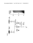 QUALITATIVE DIFFERENTIAL SCREENING diagram and image