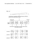 QUALITATIVE DIFFERENTIAL SCREENING diagram and image