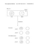 QUALITATIVE DIFFERENTIAL SCREENING diagram and image