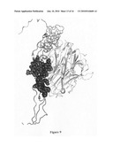 Osteoprotegerin variant proteins diagram and image