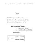 COMPLEMENTATION OF FACTOR XI DEFICEINCY BY FACTOR V MUTANTS diagram and image