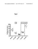 COMPLEMENTATION OF FACTOR XI DEFICEINCY BY FACTOR V MUTANTS diagram and image