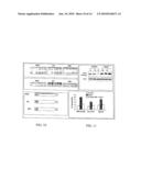 Compositions and Methods for Cancer Treatment diagram and image