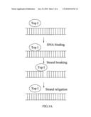 Pharmaceutical composition for inhibiting topoisomerase I and method for exploiting drug diagram and image