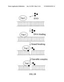 Pharmaceutical composition for inhibiting topoisomerase I and method for exploiting drug diagram and image