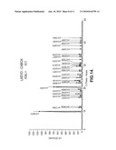 OPTICAL ENANTIOMERS OF PHENYRAMIDOL AND PROCESS FOR CHIRAL SYNTHESIS diagram and image