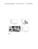 Regulation of protein synthesis diagram and image